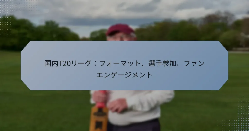 国内T20リーグ：フォーマット、選手参加、ファンエンゲージメント
