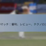 T20マッチ：審判、レビュー、テクノロジー