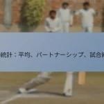T20統計：平均、パートナーシップ、試合結果