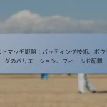 テストマッチ戦略:バッティング技術、ボウリングのバリエーション、フィールド配置