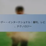 ワンデー・インターナショナル：審判、レビュー、テクノロジー