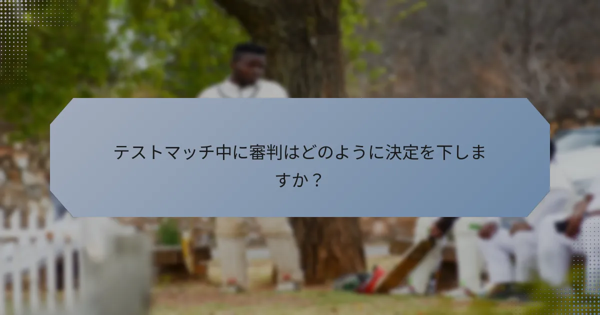 テストマッチ中に審判はどのように決定を下しますか？